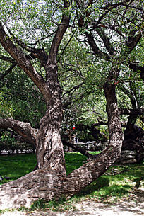 ���ϵ�����