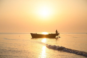 ����������