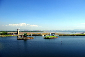 ��ɫ����