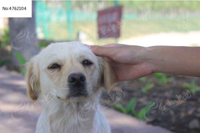 �������Ĺ�ͼƬ