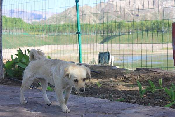 ������ͼƬ