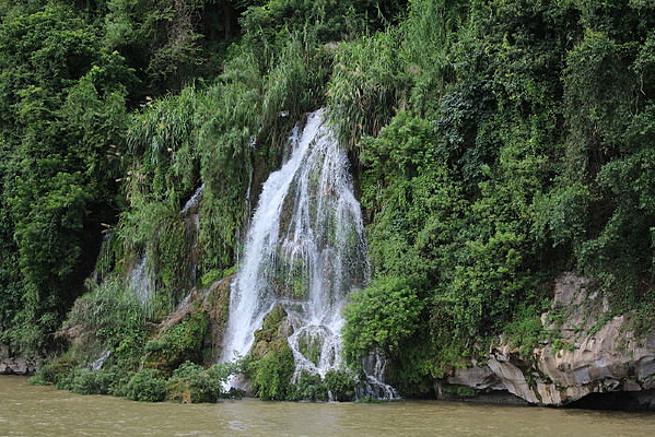 �����ٲ�