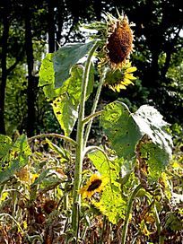 һ���л�����տ�