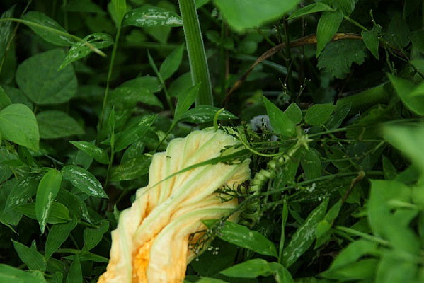 �ݴ��е��Ϲϻ�