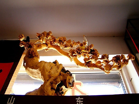 �����ϵ���