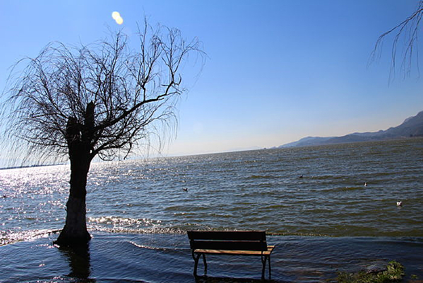 ��԰������