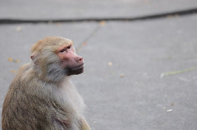 ������д