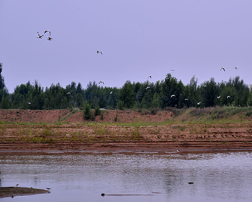 ���ߵ���ľ