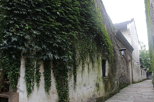 ��ɽ������ǽ