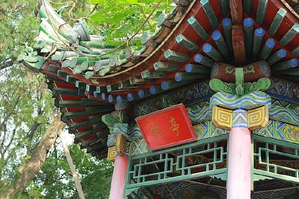 �����һ��