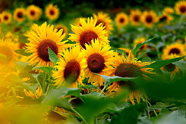 ���տ�֮��