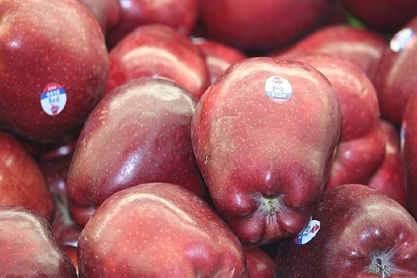 �߹����߹�����