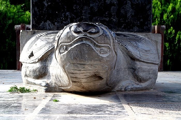 �����Ա�