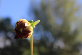 �����µ�ĵ��������