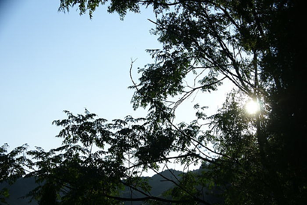 ϼ���µ���