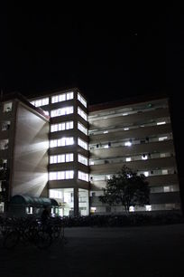 ҹ��������