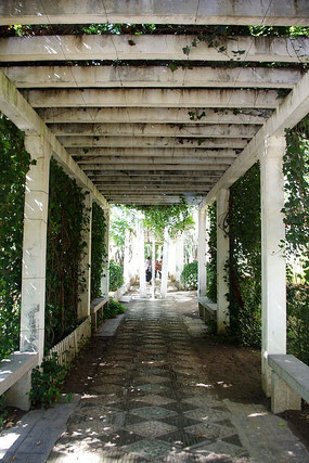 ��ɫ����