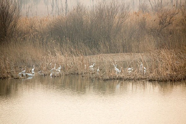 ������Ϣ