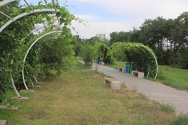 ����С��