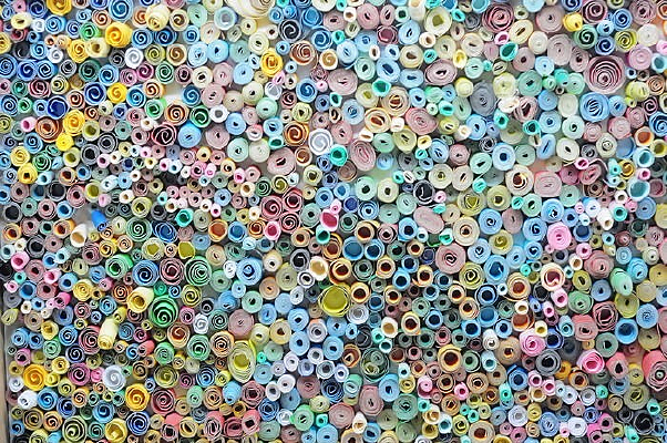 ��ֽ����