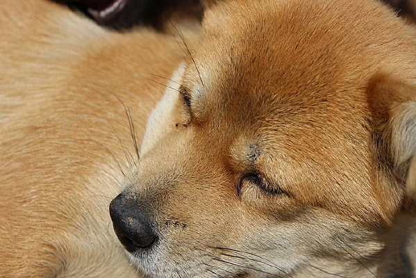 �����Ĺ���