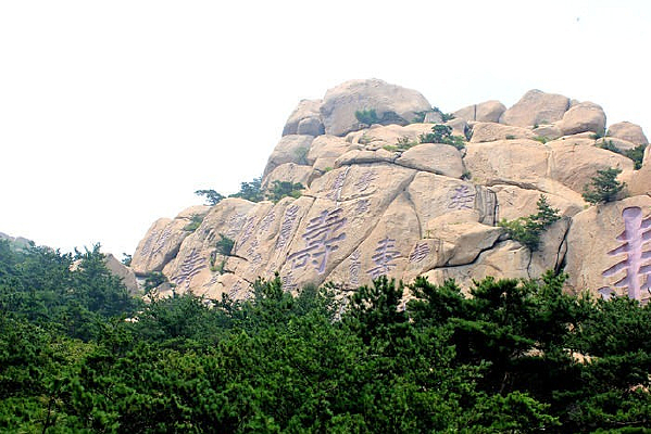 ����д��