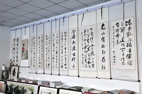 鷨ǽ