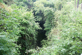 �¹��ҹ��������