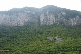 �¹����Ϸ�