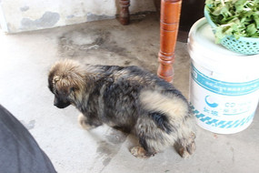 �˶��Ĺ���