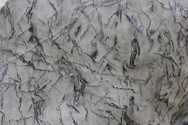 ���ӱ���