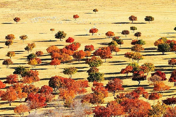 ����������Ƿ�