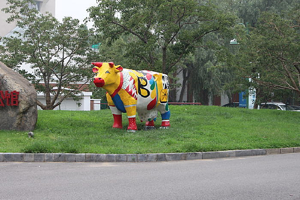 ��԰���ɫ��ţ����