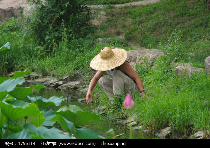 �����ߵ�����ͼƬ