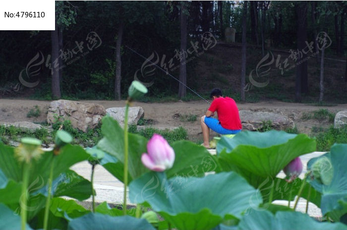 ��������ͼƬ