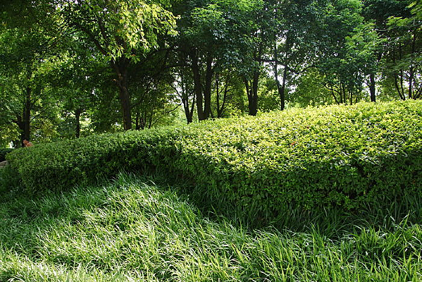 ��Դ����԰�羰һ��