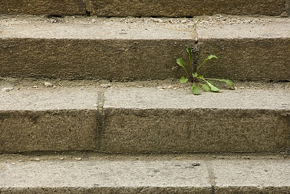 �����ϵĲ�