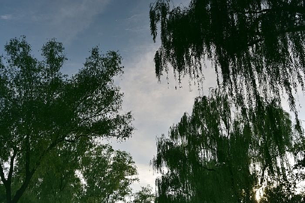 ������Ӱ