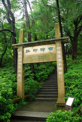 ����ӡ��