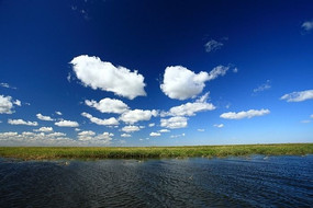 ������Ȼʪ�ر�����