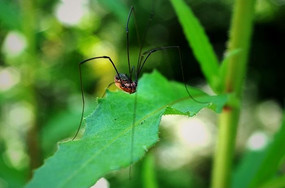 ����֩��