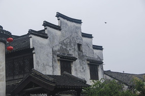 ������ͷǽ