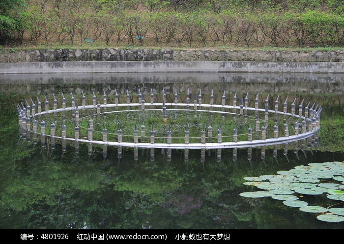 ˮ����ͷͼƬ