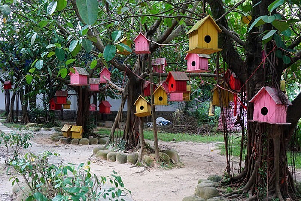 ��������