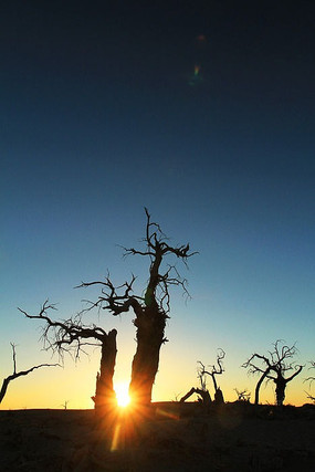 Ϧ���¿���