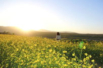 Ϧ�����Ͳ˻�