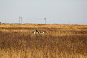 �ݴ��е���