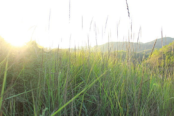 ������ɽ