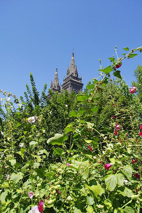 ���ش����