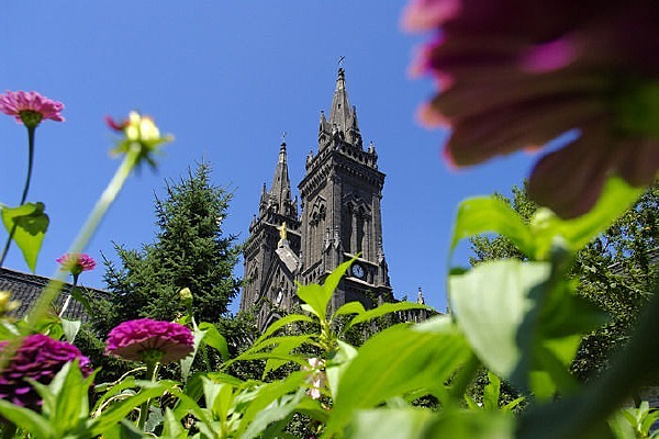 ���������